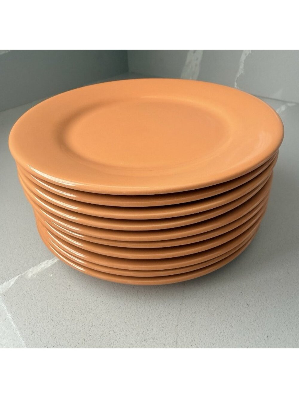 Crate & Barrel Set Of 10 Appetizer Salad Plates Sierra TerraCotta Stoneware 8.25
